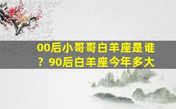 00后小哥哥白羊座是谁？90后白羊座今年多大