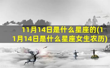 11月14日是什么星座的(11月14日是什么星座女生农历)