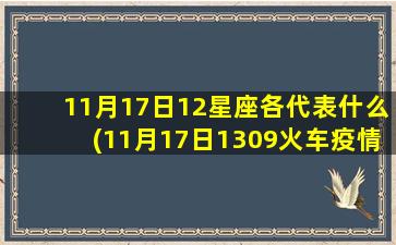 11月17日12星座各代表什么(11月17日1309火车疫情传播情况)