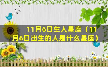 11月6日生人星座（11月6日出生的人是什么星座）