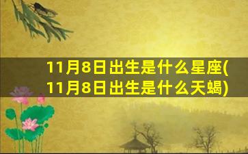 11月8日出生是什么星座(11月8日出生是什么天蝎)