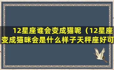 12星座谁会变成猫呢（12星座变成猫咪会是什么样子天秤座好可爱啊!）