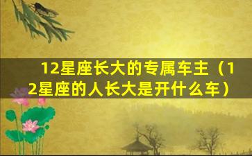 12星座长大的专属车主（12星座的人长大是开什么车）