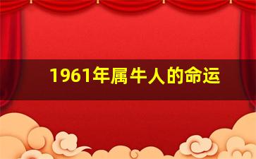 1961年属牛人的命运