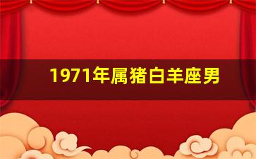 1971年属猪白羊座男