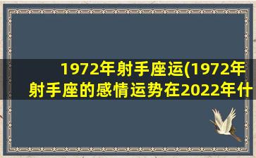 1972年射手座运(1972年射手座的感情运势在2022年什么样)