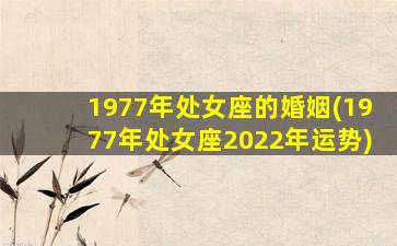 1977年处女座的婚姻(1977年处女座2022年运势)