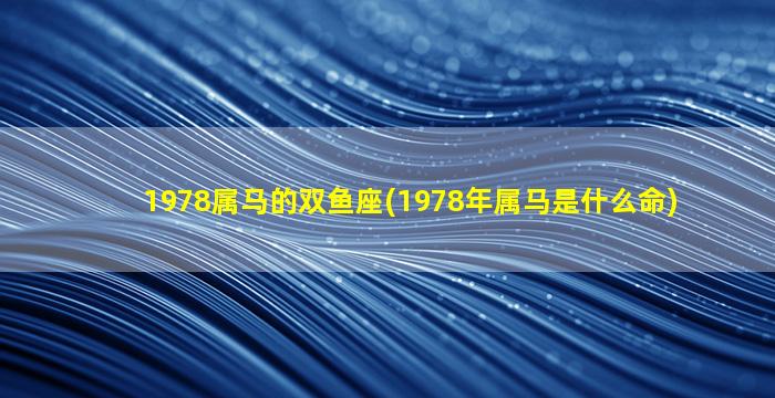 1978属马的双鱼座(1978年属马是什么命)