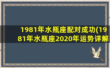 1981年水瓶座配对成功(1981年水瓶座2020年运势详解)