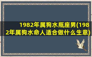 1982年属狗水瓶座男(1982年属狗水命人适合做什么生意)