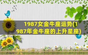 1987女金牛座运势(1987年金牛座的上升星座)