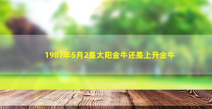 1987年5月2是太阳金牛还是上升金牛