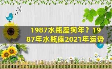 1987水瓶座狗年？1987年水瓶座2021年运势