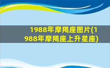 1988年摩羯座图片(1988年摩羯座上升星座)