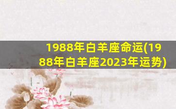 1988年白羊座命运(1988年白羊座2023年运势)