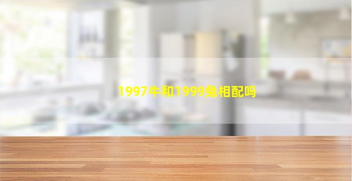 1997牛和1999兔相配吗