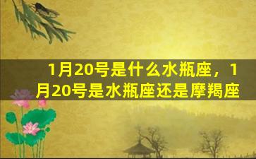 1月20号是什么水瓶座，1月20号是水瓶座还是摩羯座