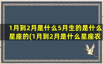 1月到2月是什么5月生的是什么星座的(1月到2月是什么星座农历)