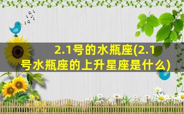 2.1号的水瓶座(2.1号水瓶座的上升星座是什么)