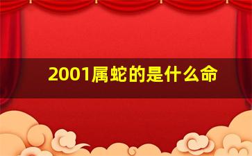 2001属蛇的是什么命