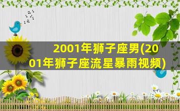 2001年狮子座男(2001年狮子座流星暴雨视频)