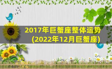 2017年巨蟹座整体运势(2022年12月巨蟹座)