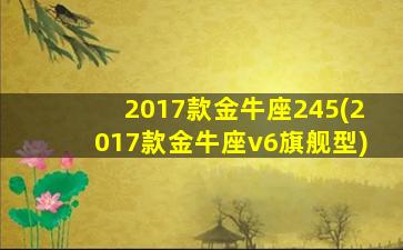 2017款金牛座245(2017款金牛座v6旗舰型)