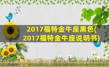 2017福特金牛座黑色(2017福特金牛座说明书)