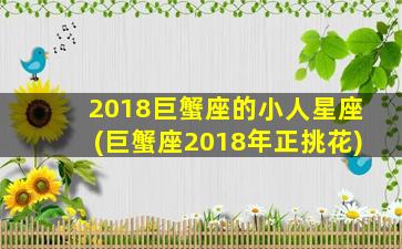 2018巨蟹座的小人星座(巨蟹座2018年正挑花)