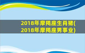 2018年摩羯座生肖猪(2018年摩羯座男事业)