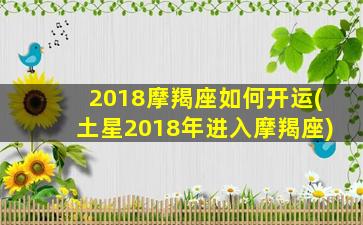 2018摩羯座如何开运(土星2018年进入摩羯座)