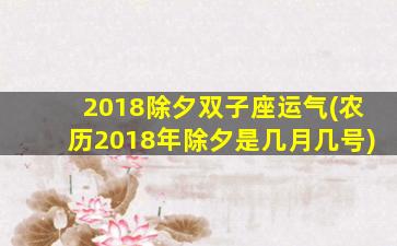 2018除夕双子座运气(农历2018年除夕是几月几号)