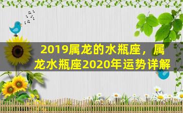 2019属龙的水瓶座，属龙水瓶座2020年运势详解