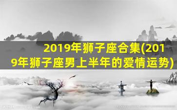 2019年狮子座合集(2019年狮子座男上半年的爱情运势)