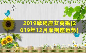 2019摩羯座女离婚(2019年12月摩羯座运势)