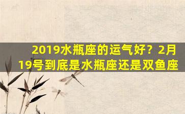 2019水瓶座的运气好？2月19号到底是水瓶座还是双鱼座