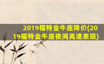 2019福特金牛座降价(2019福特金牛座夜间高速表现)