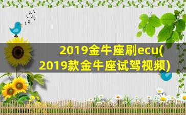 2019金牛座刷ecu(2019款金牛座试驾视频)