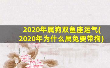 2020年属狗双鱼座运气(2020年为什么属兔要带狗)