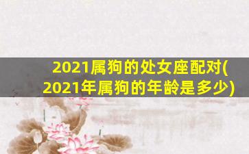 2021属狗的处女座配对(2021年属狗的年龄是多少)