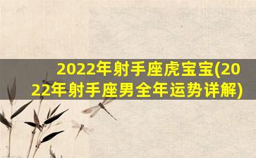 2022年射手座虎宝宝(2022年射手座男全年运势详解)