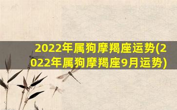 2022年属狗摩羯座运势(2022年属狗摩羯座9月运势)