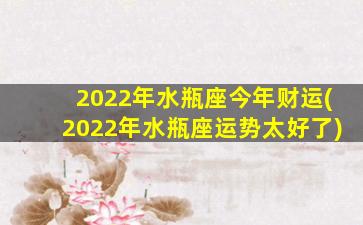 2022年水瓶座今年财运(2022年水瓶座运势太好了)