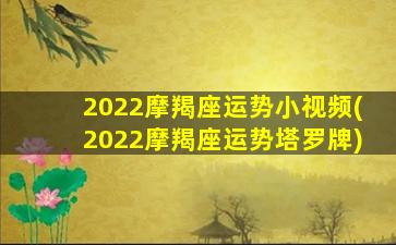 2022摩羯座运势小视频(2022摩羯座运势塔罗牌)