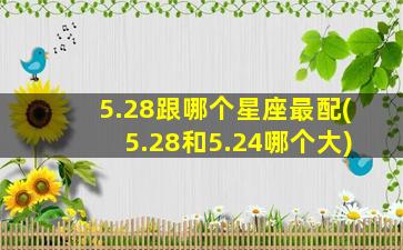 5.28跟哪个星座最配(5.28和5.24哪个大)