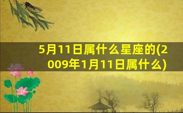 5月11日属什么星座的(2009年1月11日属什么)