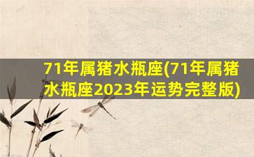 71年属猪水瓶座(71年属猪水瓶座2023年运势完整版)