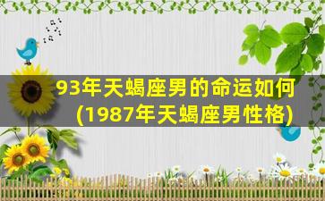 93年天蝎座男的命运如何(1987年天蝎座男性格)