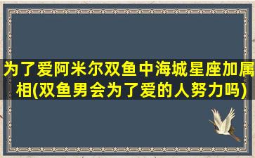 为了爱阿米尔双鱼中海城星座加属相(双鱼男会为了爱的人努力吗)