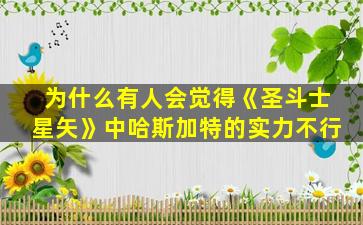 为什么有人会觉得《圣斗士星矢》中哈斯加特的实力不行